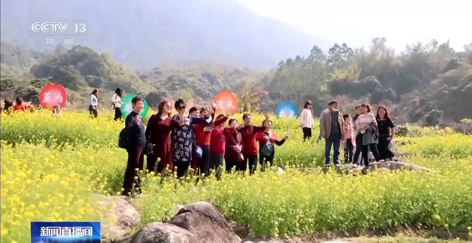 麦田返青、春花盛开……春天“拍了拍”你