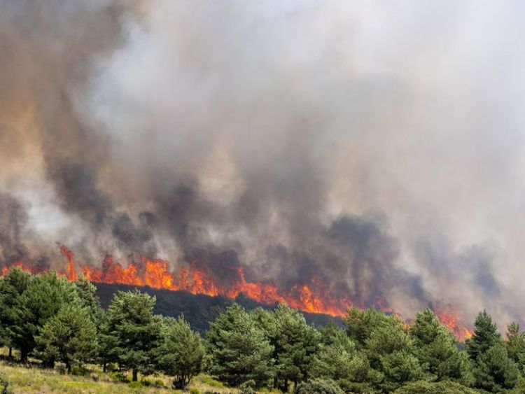 西班牙多地山火持续蔓延 高温天气加大灭火难度