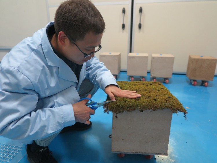 报效祖国 建功西部︱年轻人保护莫高窟用了哪些新方法？