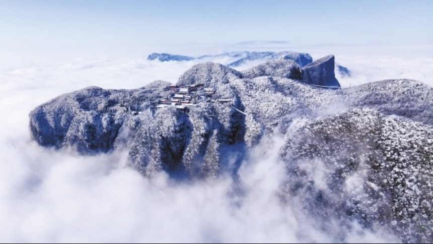 玉树琼枝 云海仙境