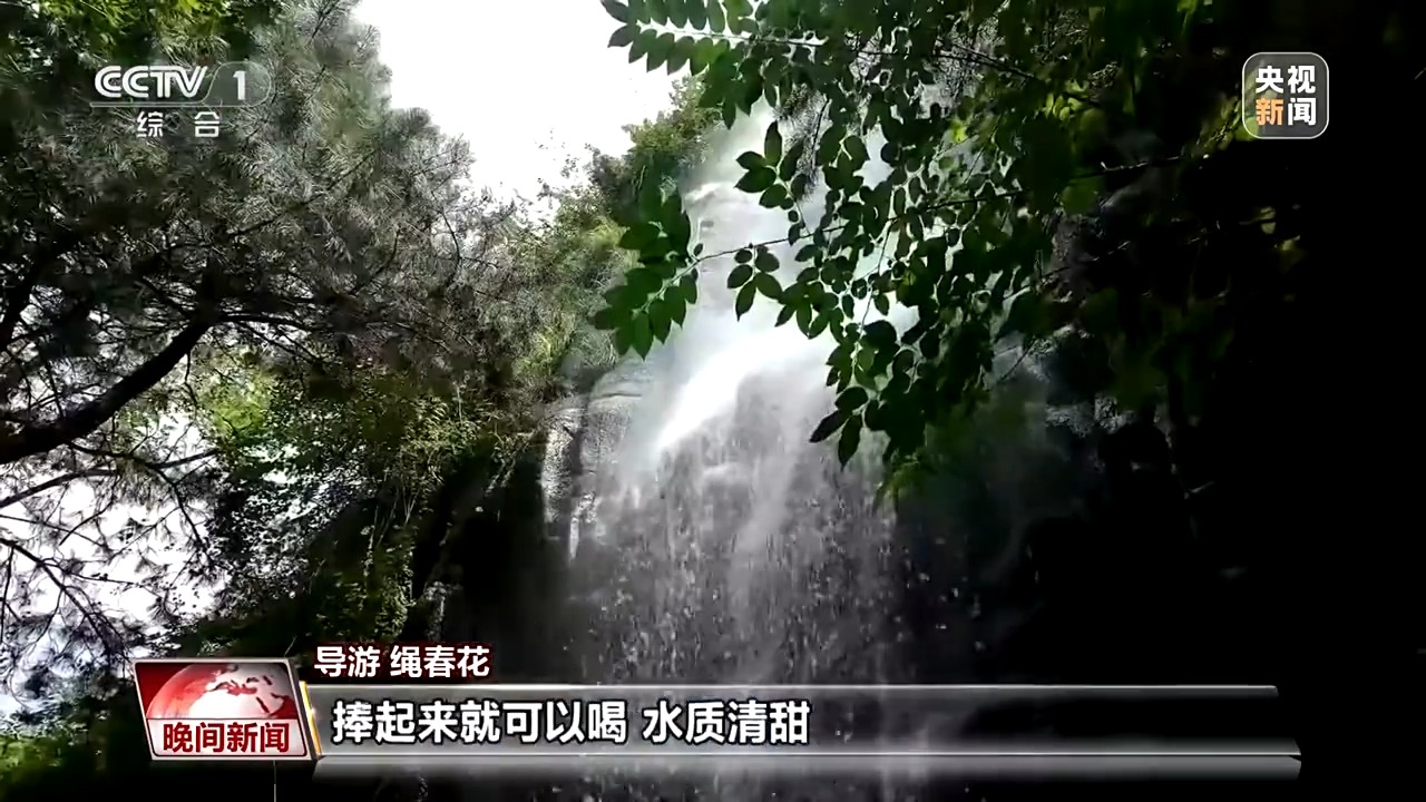 看见美丽中国丨炸水泥厂、种万棵树！“石头村”20年逆袭97%森林覆盖