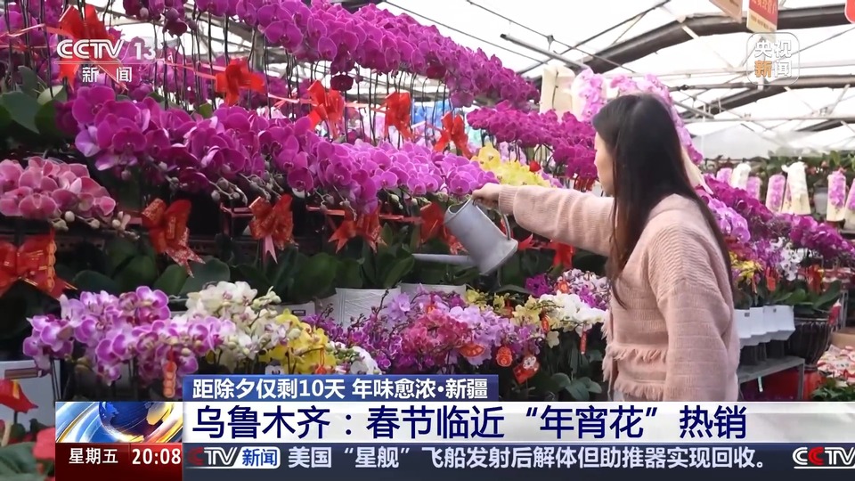 最是人间烟火处!去各地感受不一样的年味儿