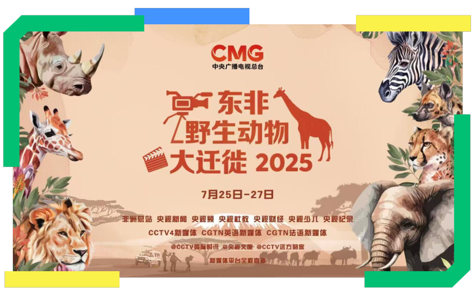 总台周末看点丨夏日舞台，一起精彩！
