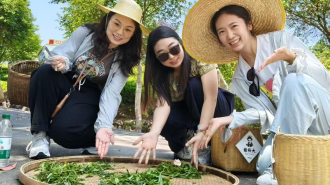 黄山市徽州区：徽韵融古今 文旅绽芳华