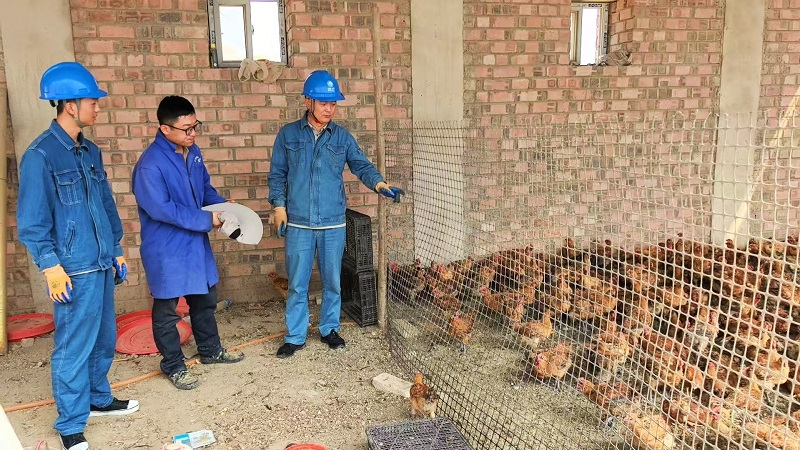 Electricity Fuels the Dreams of Diverse Agriculture_fororder_图片3