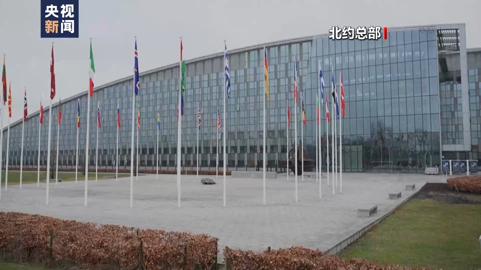 美国或将放弃指挥权 欧洲计划替代美在北约地位