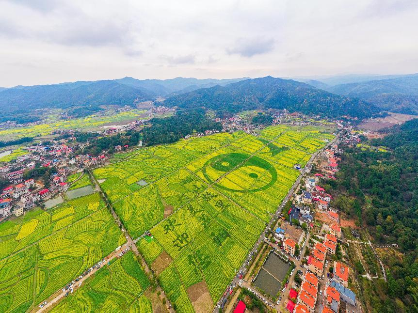 衡阳市2025春季文化旅游推广季之衡阳县第十四届油菜花海畅游活动启幕_fororder_图片3