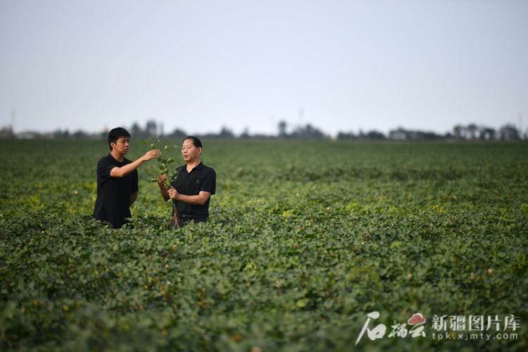 完整准确全面贯彻新时代党的治疆方略丨滴水之变