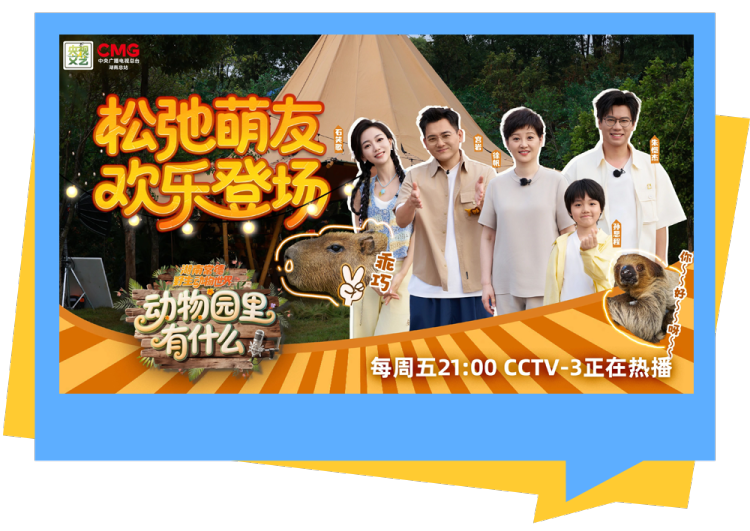 总台周末看点丨跟着总台游中国