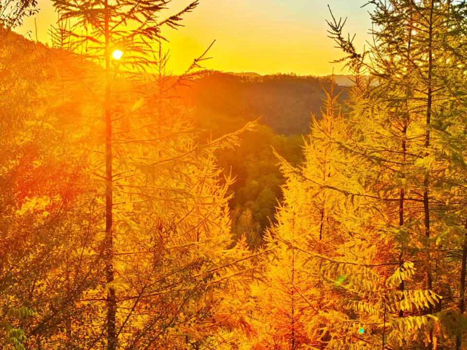 天水清水秋日“美拉德”风拉满_fororder_图片 1_20251106104737_AI看图