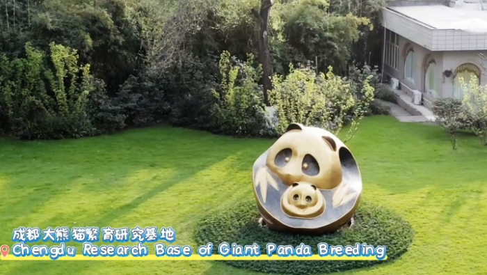 【老外在中国】在成都专业“撸”熊猫的美国人_fororder_微信截图_20260529090329