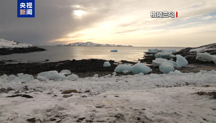 格陵兰岛总理：美动武可能性不大 会做好一切应对准备