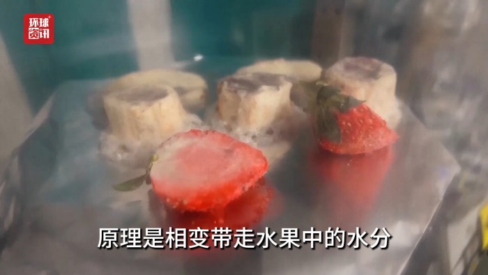 听鉴世界｜科学家受冻干水果启发 探索火星3D打印建房