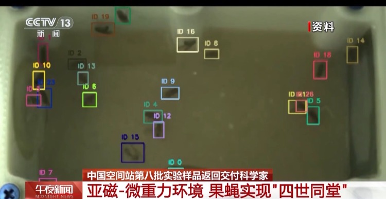 涉及25个实验项目 重约37.25公斤 空间站第八批实验样品返回