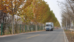 天津2025年农村公路民心工程全面收官 铺就乡村振兴“快车道”