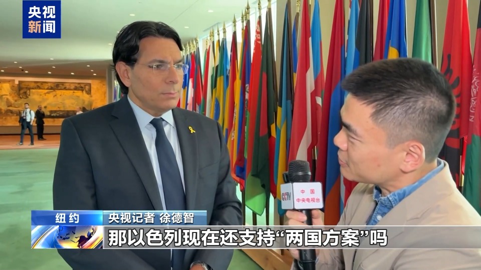 落实“两国方案”高级别国际会议闭幕 巴以代表对此怎么看？