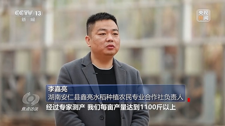 焦点访谈丨如何扎实推进乡村全面振兴?深化改革是关键