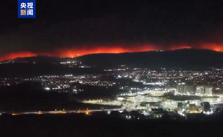 智利森林火灾已致21人死亡 全国进入两天哀悼期