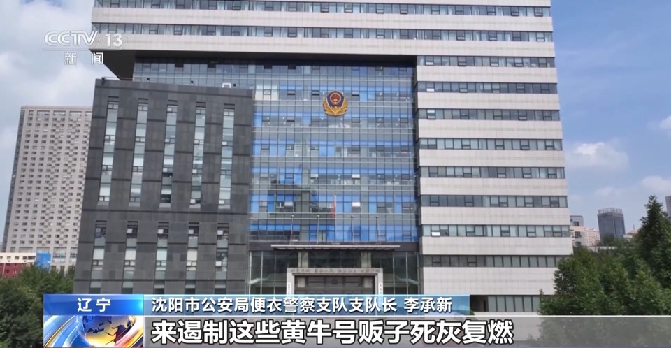法治在线丨患者就医“一号难求”，为啥“黄牛”能挂上？