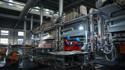 State Grid Drives Green Transition in Tongcheng with Rural EV Chargers and Dual Power Supplies