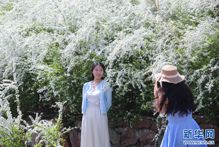 安徽肥西：春花盛开燃热“春日经济”