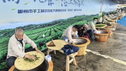 签订1.26亿高山茶订单 湖南桂东举行手工制茶技能大赛暨“茶文化”旅游季活动