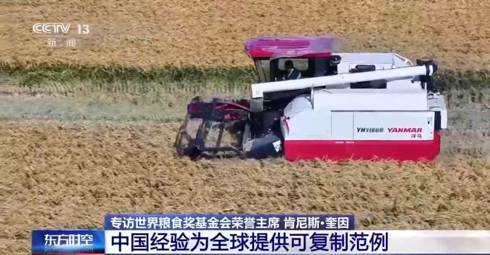 世界粮食奖基金会荣誉主席：中国经验为全球提供可复制范例