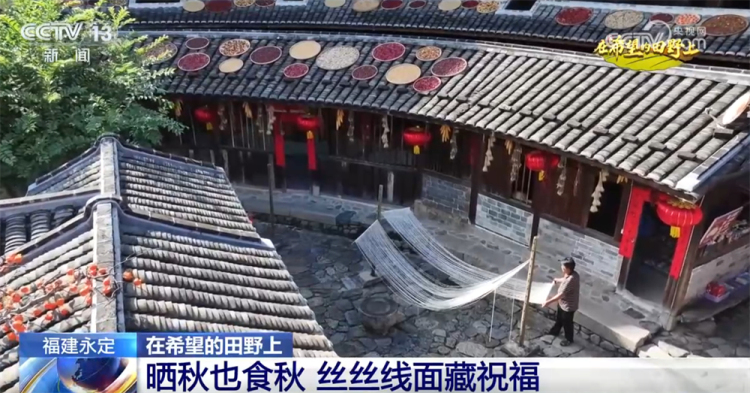 广袤乡村绘就金秋九月好“丰”景 农业现代化成为百姓增收致富“密码”