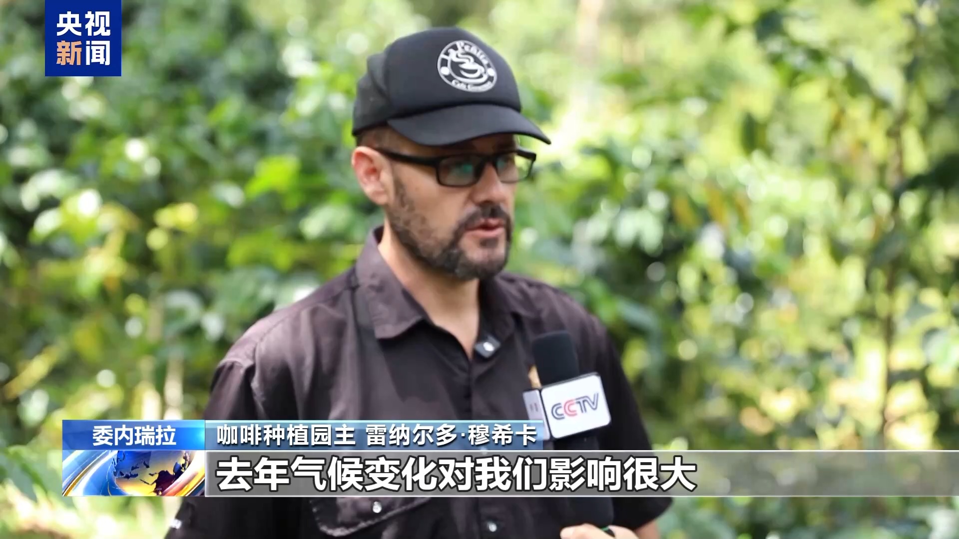 视频丨委内瑞拉咖啡行业复苏面临多重挑战