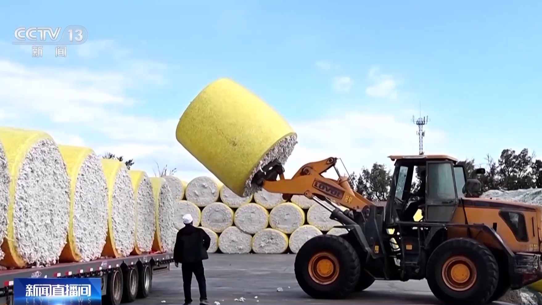 秋收进入冲刺阶段 各地多举措确保粮食“颗粒归仓”