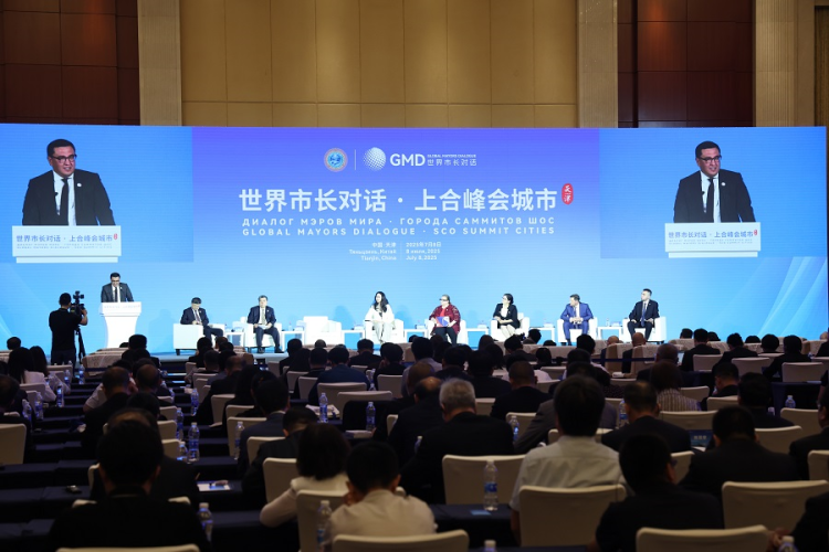 上合峰会城市代表：青年互学互鉴 为未来合作注入活力动能