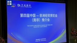 第四届中非经贸博览会南非推介会举行