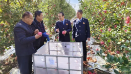 庆阳：税惠“甘露”润瓜果 助农增收“甜”心间