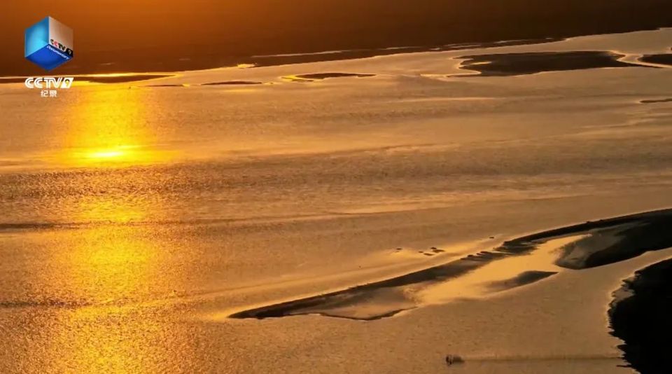 溯源母亲河!《黄河之歌》今日首播,共赴千年文明之约