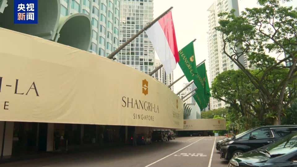 第22届香格里拉对话会闭幕 与会各方倡议合作应对挑战