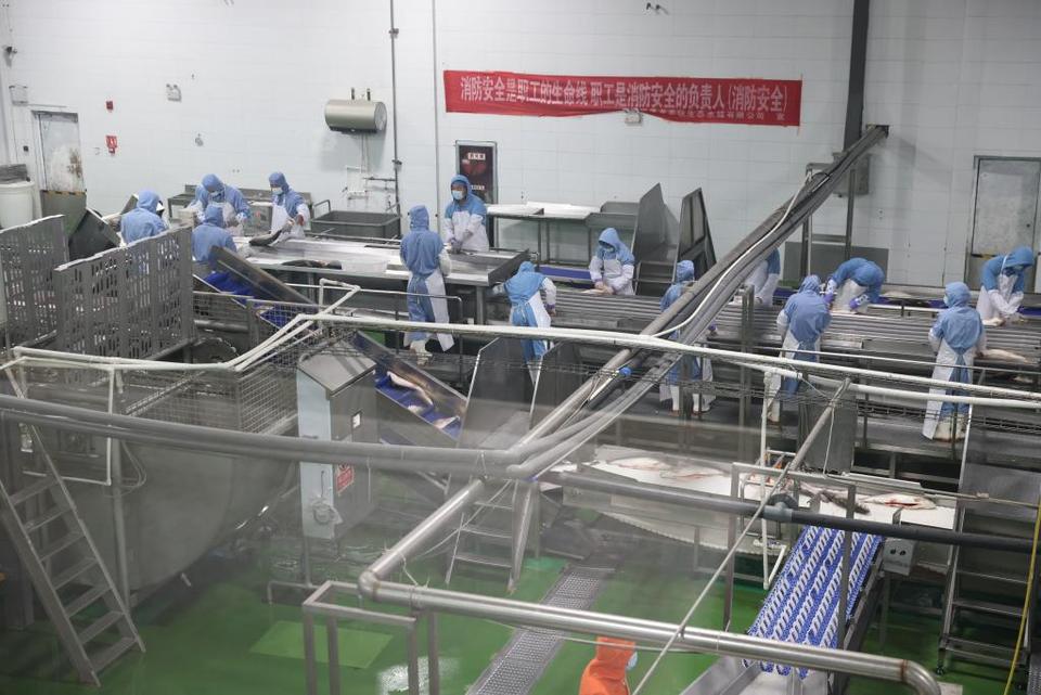 新时代中国调研行之看区域·西部篇丨青海的，鱼！