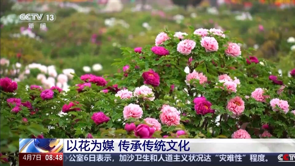 以花为媒 农耕文化玩出了新花样