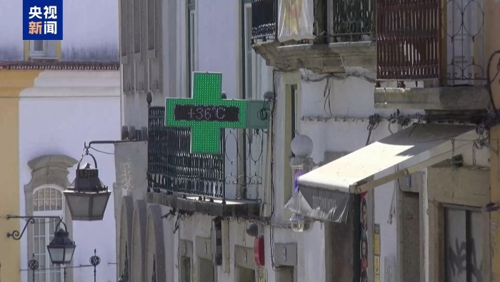 视频丨联合国机构：高温与极端干旱威胁欧洲多国森林健康