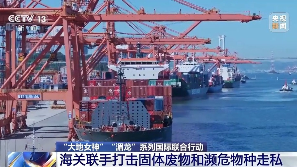 查获案件1380起 世界海关联手打击固体废物和濒危物种走私取得成效