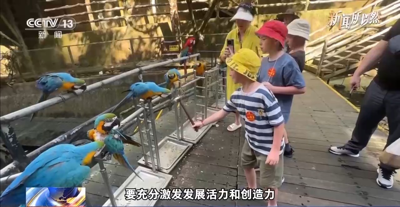 视频丨这五个方面 带你读懂海南自贸港全岛封关