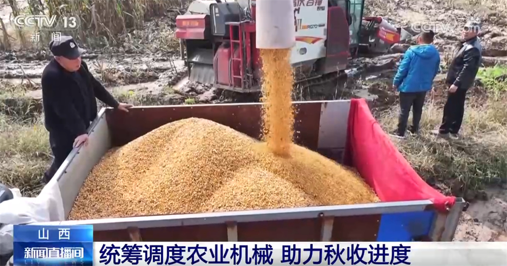 多地“攥指成拳”打响秋收“攻坚战” 排涝、抢收、抢烘有序开展