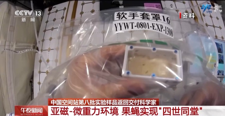 涉及25个实验项目 重约37.25公斤 空间站第八批实验样品返回