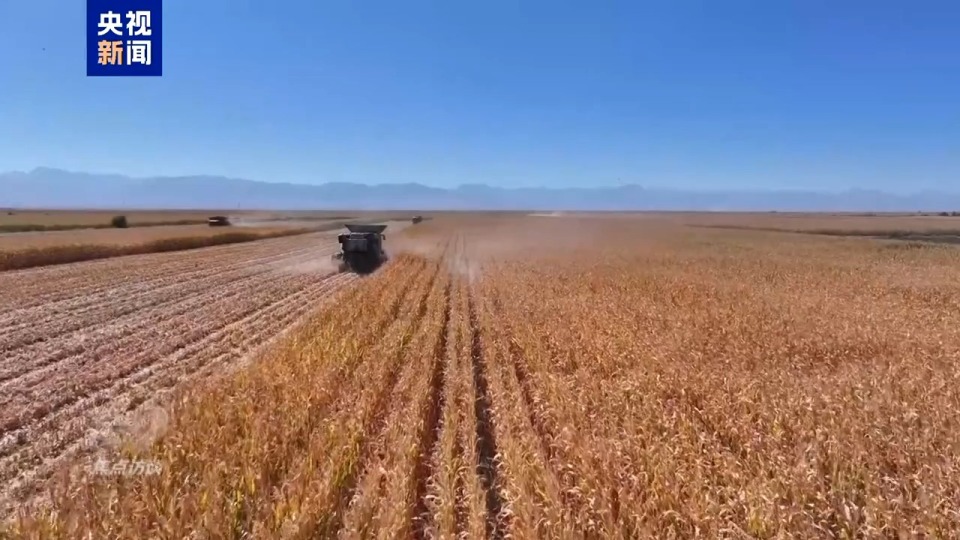 焦点访谈丨筑牢大国粮仓 中国人的饭碗端得更牢更稳