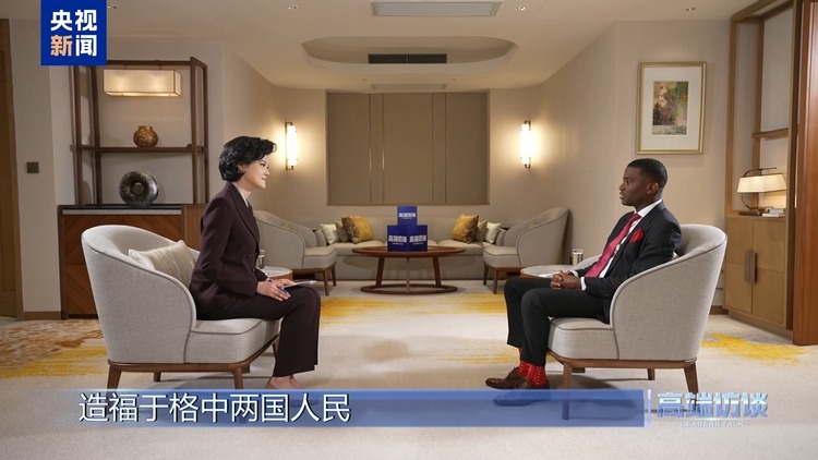 高端访谈丨专访格林纳达总理米切尔