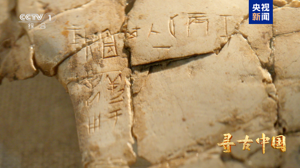 甲骨文记录了什么样的商朝社会生活？