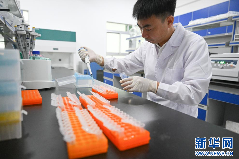 种在盐碱地、灌溉用海水 这样的“海水蔬菜”好吃吗？