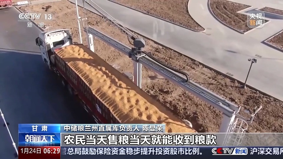 秋粮入仓忙 看科技如何赋能“大国粮仓”