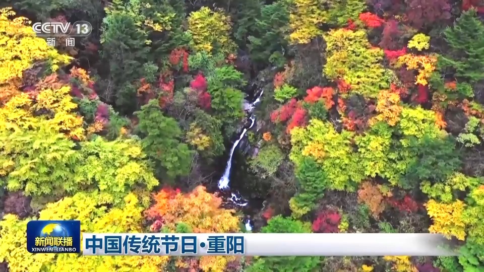 文化中国行丨登高远眺 踏秋赏景 一起感受重阳节文化之美