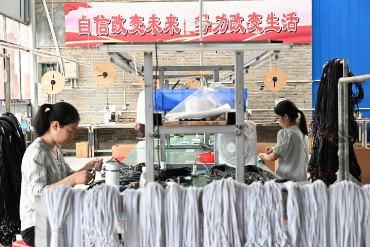 全国助残日特别报道丨走出家门 拥抱新生_fororder_图片1