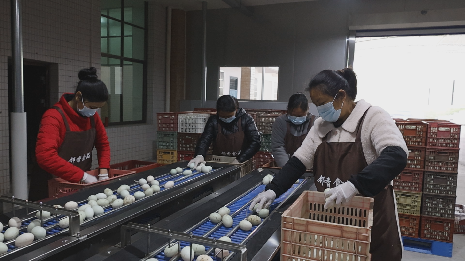 湖南衡阳县“筑巢引凤”助力乡村振兴_fororder_图片1